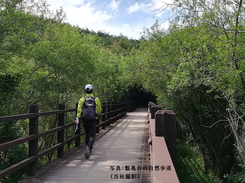 盤亀台・通度寺フォト&ウォーク