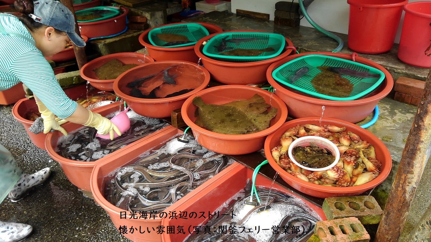 ヴィーナストラベル下関営業所 釜山夏旅新名所