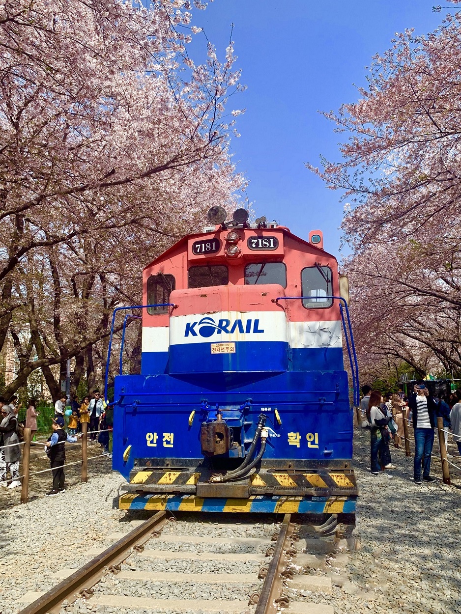 ヴィーナストラベル下関営業所 鎮海　軍港祭り　観桜