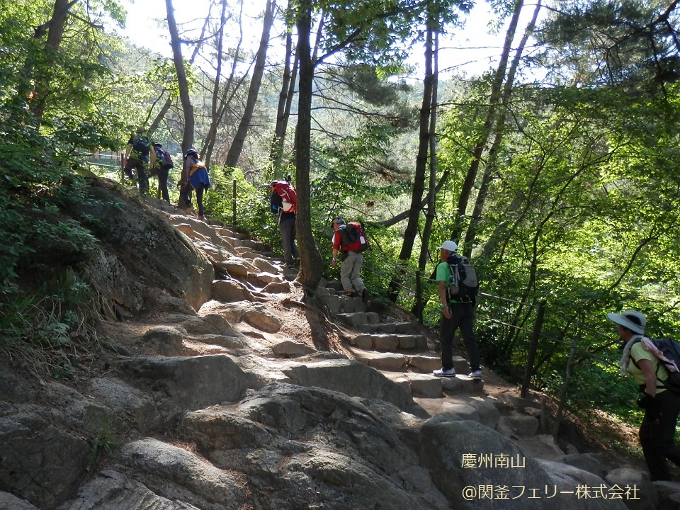 関釜フェリー 韓国トレッキングツアー 慶州南山