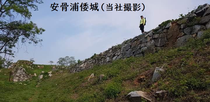 関釜フェリー 倭城ツアー 