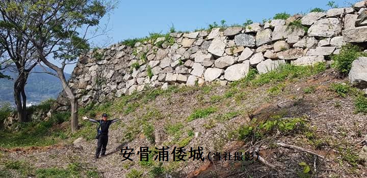 関釜フェリー 倭城ツアー 
