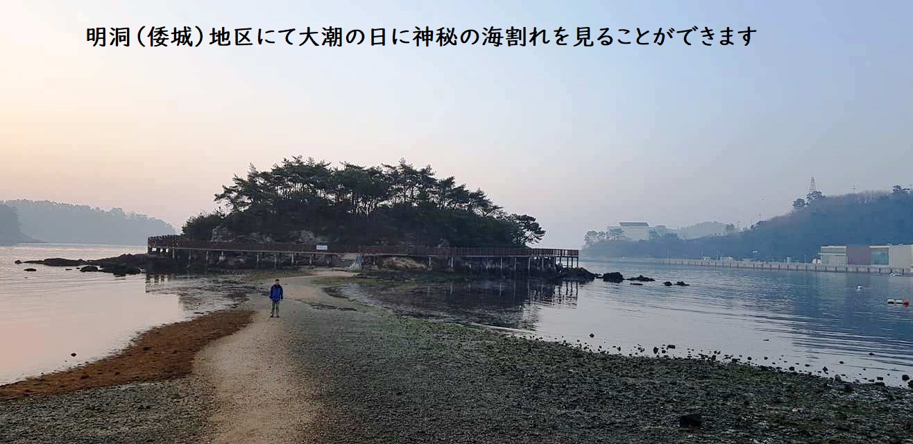 関釜フェリー 倭城ツアー 