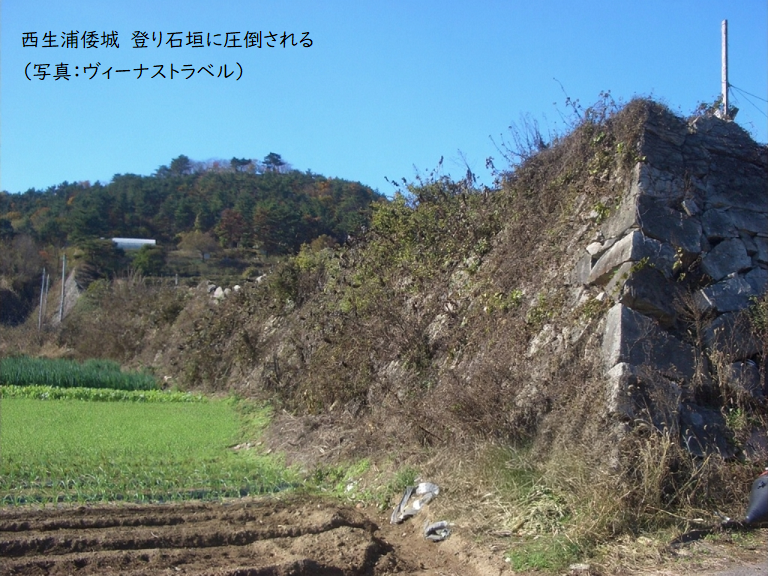 関釜フェリー 倭城ツアー